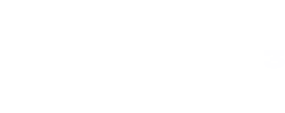 WNBA Playoffs